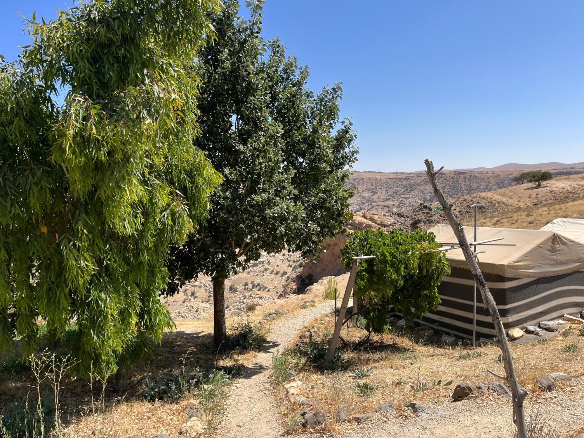 Al-Nawatef Eco Camp- Dana Nature Reserve Bagian luar foto